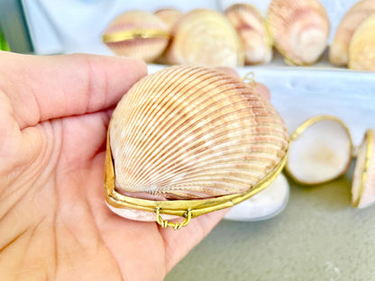 Authentic Vintage 3" Long Seashell Ring Box Brass Hinge Jewelry Elegant Trinket Pill Container Bearer Coastal Accessories Beige Tan Seashell