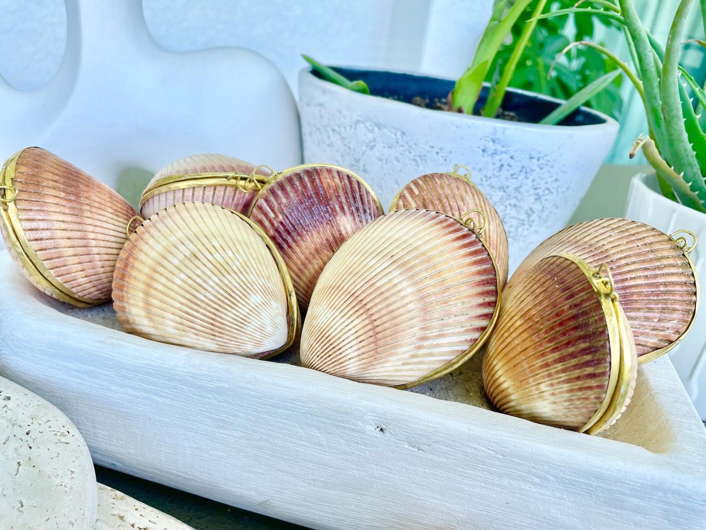 Authentic Vintage 3" Long Seashell Ring Box Brass Hinge Jewelry Elegant Trinket Pill Container Bearer Coastal Accessories Beige Tan Seashell