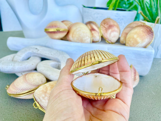 Authentic Vintage 3" Long Seashell Ring Box Brass Hinge Jewelry Elegant Trinket Pill Container Bearer Coastal Accessories Beige Tan Seashell