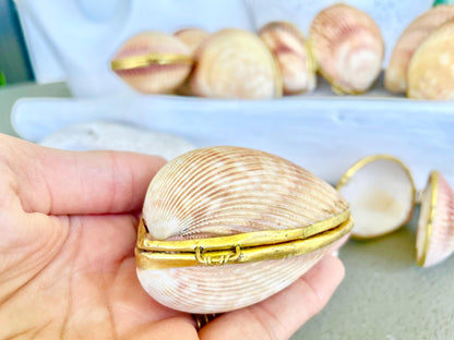 Authentic Vintage 3" Long Seashell Ring Box Brass Hinge Jewelry Elegant Trinket Pill Container Bearer Coastal Accessories Beige Tan Seashell