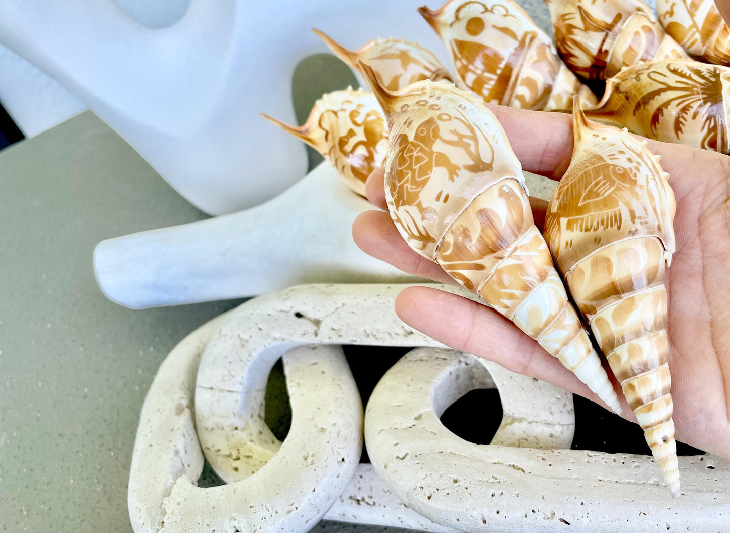 HAND CARVED TIBIA Shells 4-5" Natural Coastal Gift Brown White Display Seashell