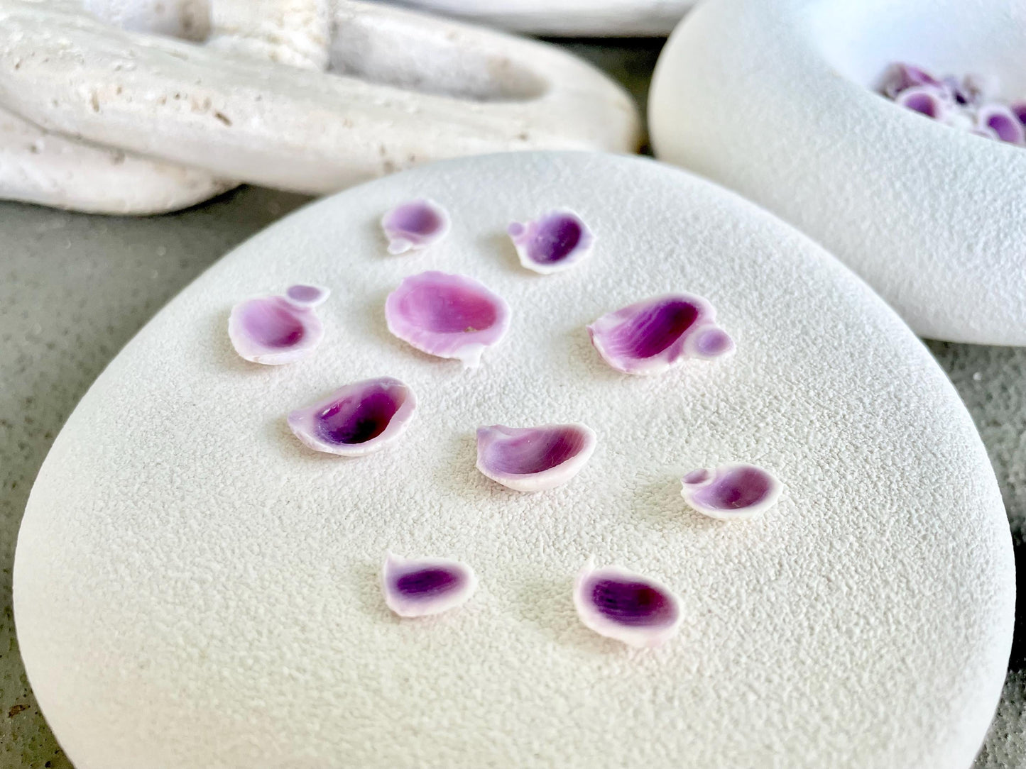Cebu Beauty Edge Cuts Craft Shells .25-.5" *You Choose Quantity* Purple Violet Seashells