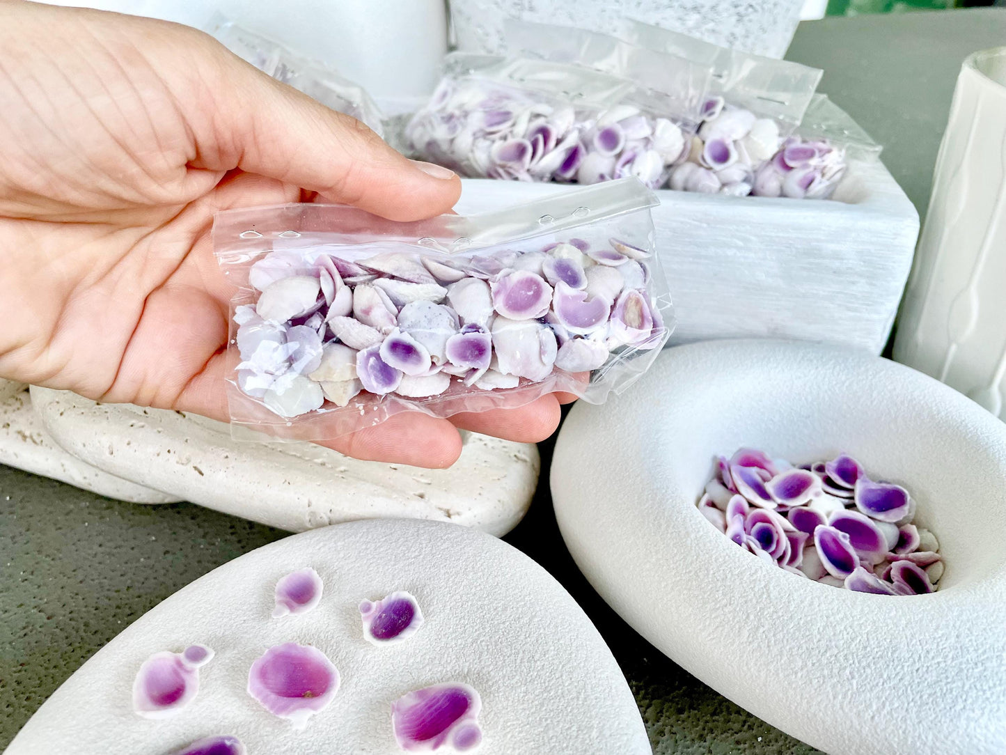 Cebu Beauty Edge Cuts Craft Shells .25-.5" *You Choose Quantity* Purple Violet Seashells