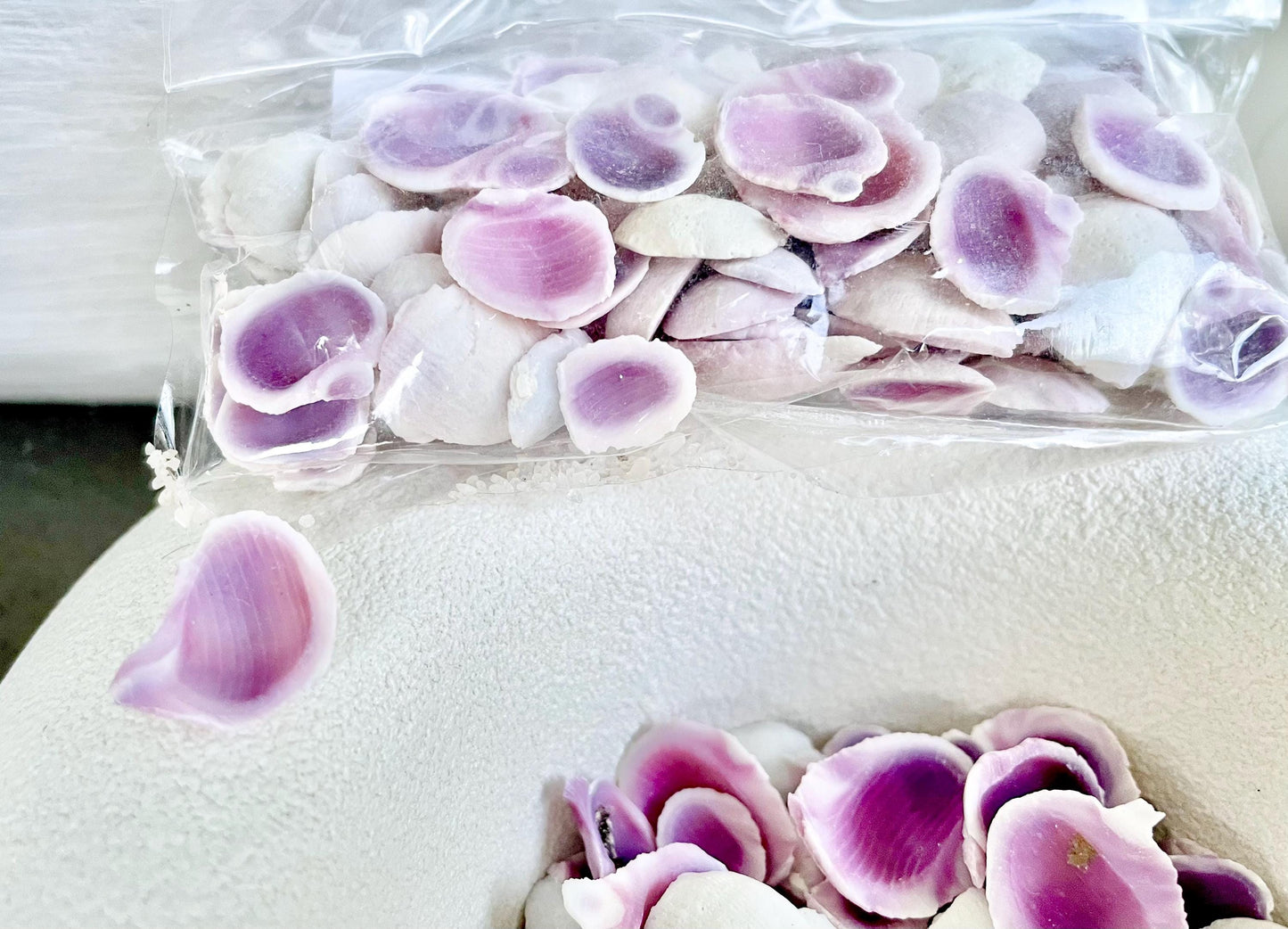 CEBU BEAUTY HALF Cuts Craft Shells .25-.5" *You Choose Quantity*Purple Violet Seashells Coastal Beach
