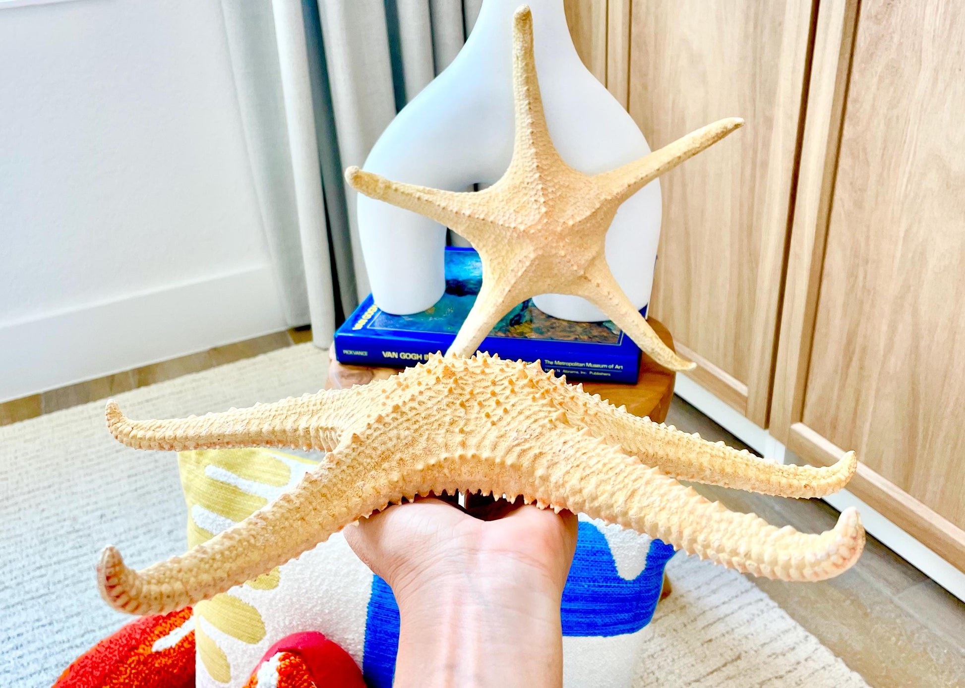 Rare WORLDS LARGEST 14-17" Pink Tip Starfish Beach Home Décor Mantle Piece Coastal Lovers Gift Golden pink Yellow Orange Seashells Shells