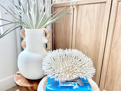 Mounted 13" Genuine TABLE CORAL Specimen Sculpture Clear Lucite Display Base Decorative Coastal Beach Home Décor Gift Wedding White