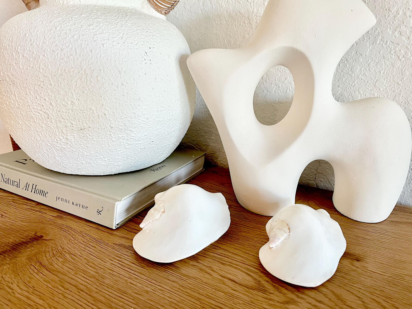 Polished High Gloss White Smooth 4-5" Lambis Seashell Modern Conch Sea shell Beach Nautical Décor Display Collectable Gift