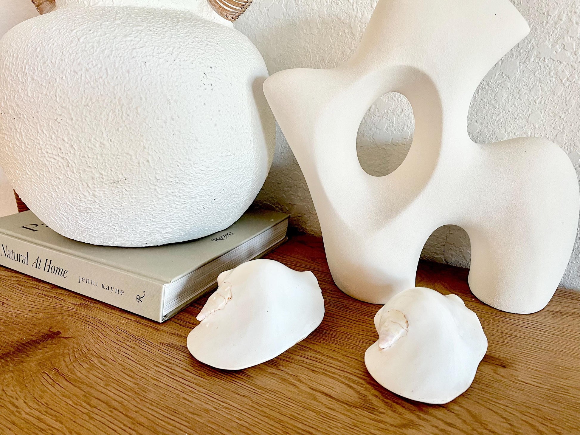 Polished High Gloss White Smooth 4-5" Lambis Seashell Modern Conch Sea shell Beach Nautical Décor Display Collectable Gift