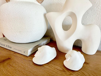 Polished High Gloss White Smooth 4-5" Lambis Seashell Modern Conch Sea shell Beach Nautical Décor Display Collectable Gift