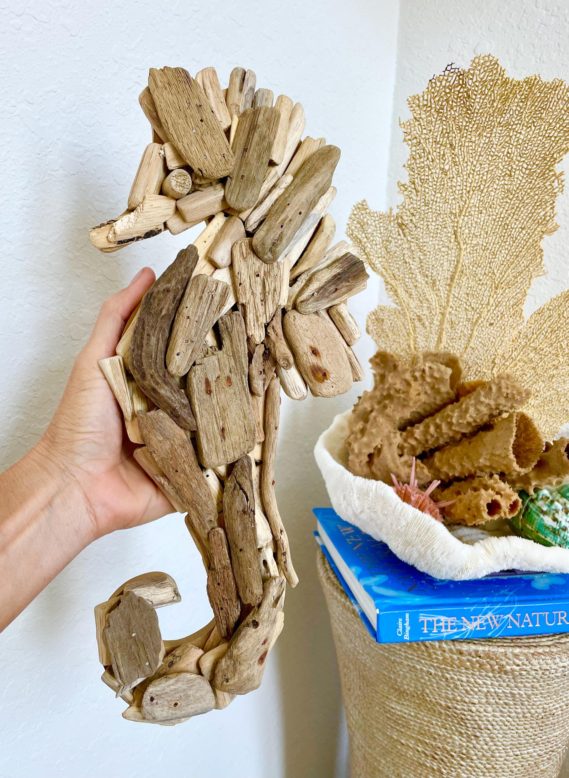 Driftwood SEAHORSE Handmade 14" x 7" Wall Hanging Art Coastal Beach Gift Natural & Eco Friendly Organic Sustainable Ocean Décor
