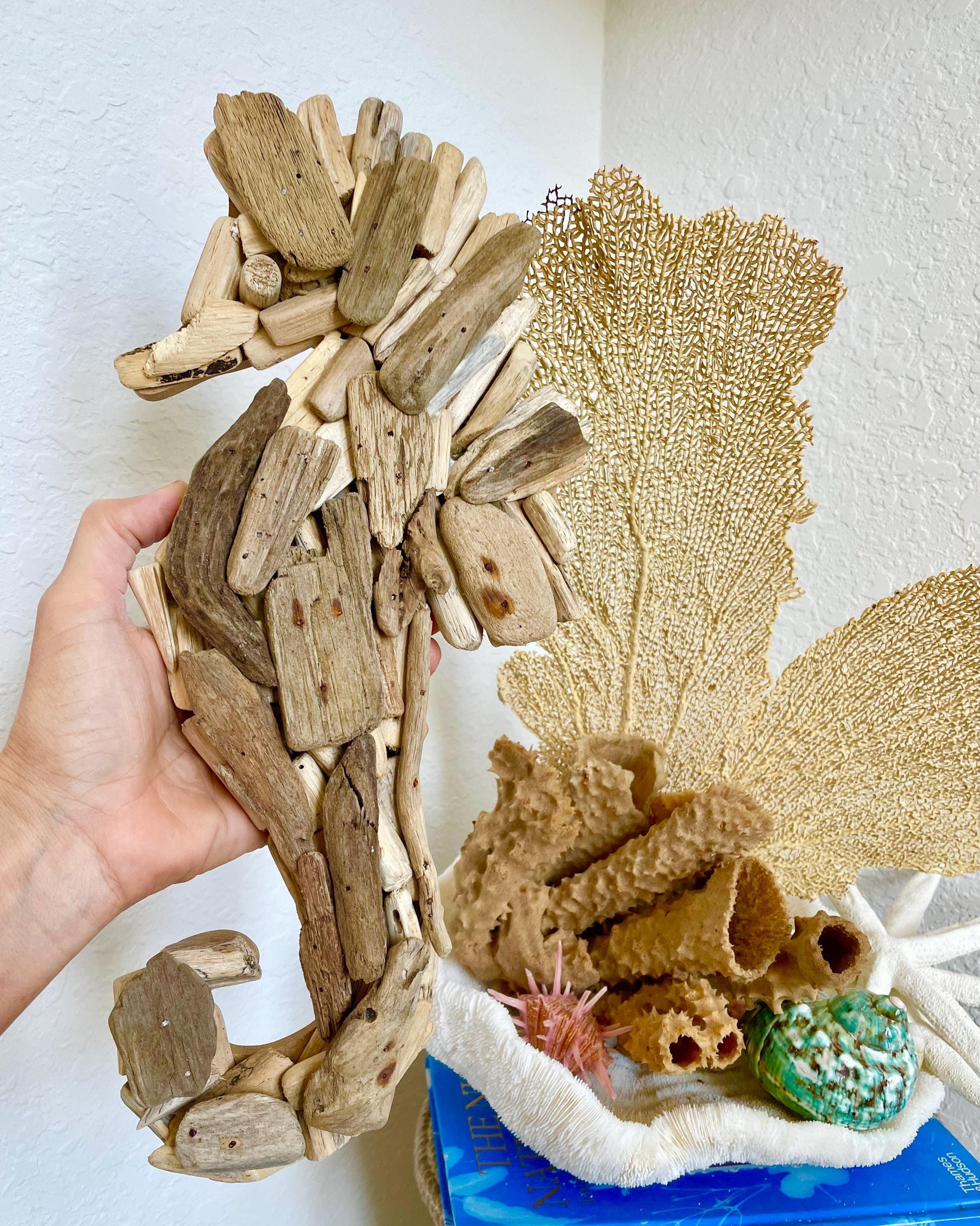 Driftwood SEAHORSE Handmade 14" x 7" Wall Hanging Art Coastal Beach Gift Natural & Eco Friendly Organic Sustainable Ocean Décor
