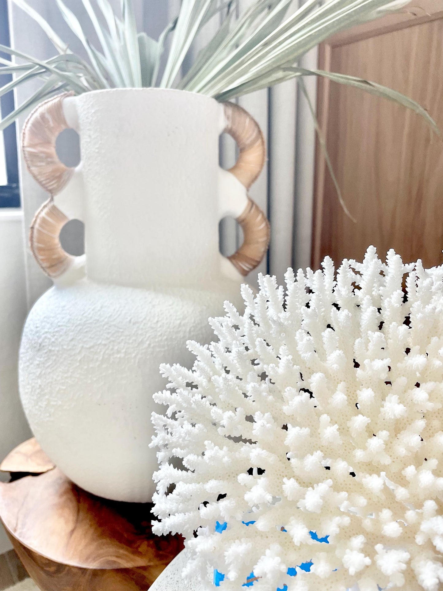 Mounted 13" Genuine TABLE CORAL Specimen Sculpture Clear Lucite Display Base Decorative Coastal Beach Home Décor Gift Wedding White