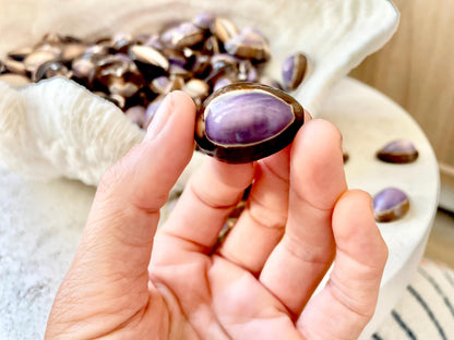 SNAKEHEAD TOP COWRIE Shells *You Choose Quantity* 1-1.25" Purple Brown Small Craft Seashells