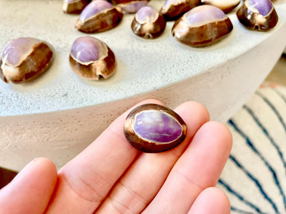 SNAKEHEAD TOP COWRIE Shells *You Choose Quantity* 1-1.25" Natural Purple Brown Glossy Shiny Small Craft Seashells Coastal Beach Home Décor