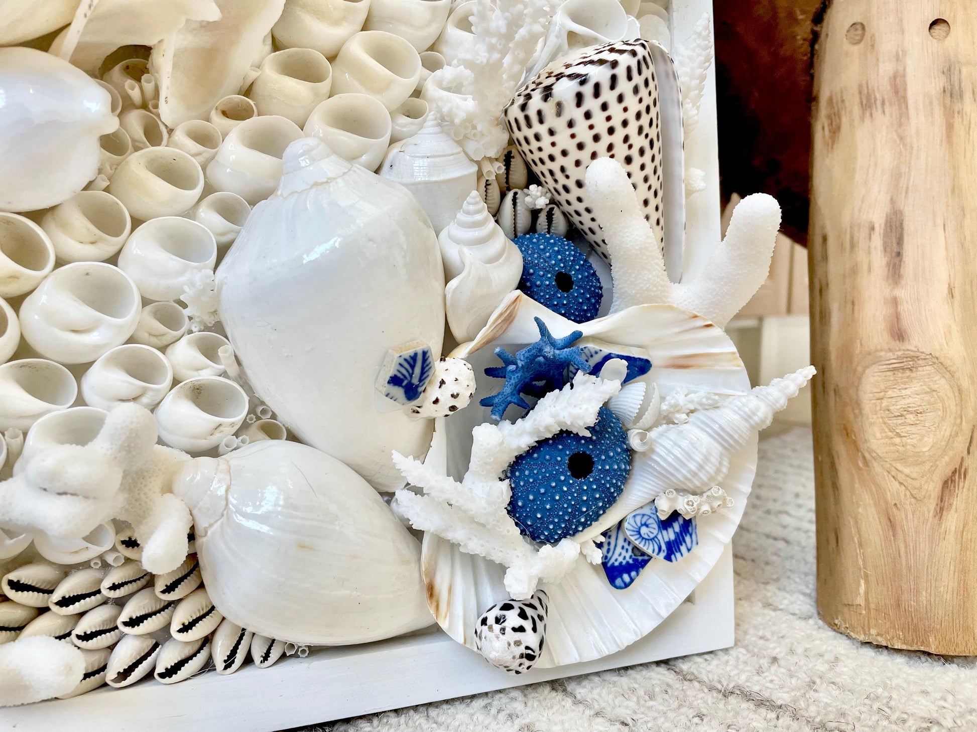 Santorini Seashell Modern Coastal Wall Art Natural Textured Sea shells Urchins Coral 36" x 12" Beach House Décor White Blue Sea Pottery