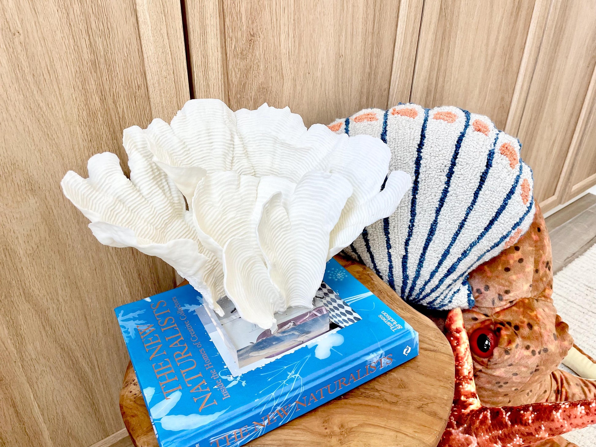 Natural Ocean Sculptural Wavy RUGOSA CORAL 11.25" Wide Mounted On Clear Lucite Base Genuine Display Decorative Coastal Beach Home Décor Gift
