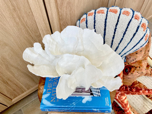 Natural Ocean Sculptural Wavy RUGOSA CORAL 11.25" Wide Mounted On Clear Lucite Base Genuine Display Decorative Coastal Beach Home Décor Gift