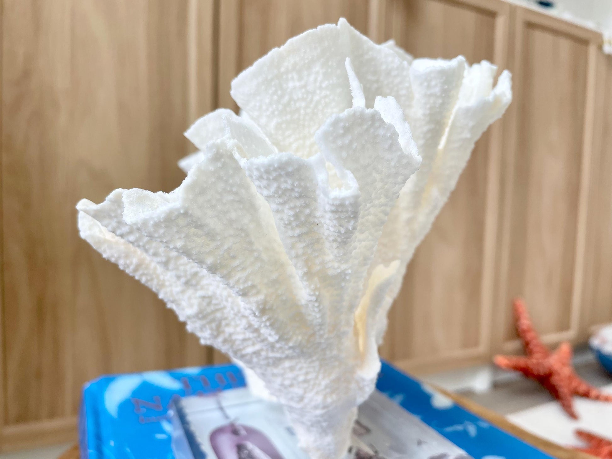 Mounted 8" Natural POCA CORAL Fossil Lucite Display Specimen Sculpture Ocean Art Decorative Coastal Beach Home Décor Wedding Gift White