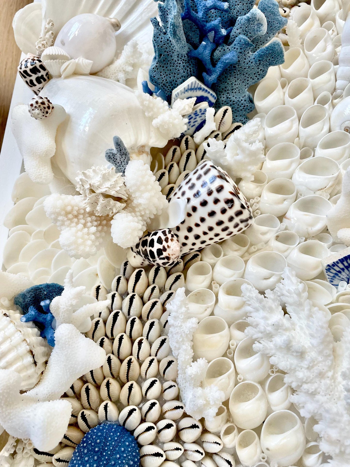 Santorini Seashell Modern Coastal Wall Art Natural Textured Sea shells Urchins Coral 36" x 12" Beach House Décor White Blue Sea Pottery