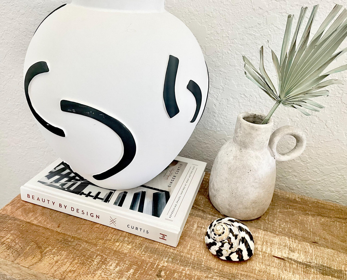 MAGPIE TURBO SHELLS 2.5-3" X-Large Naturally Polished Black White Display Hermit Crab Seashell