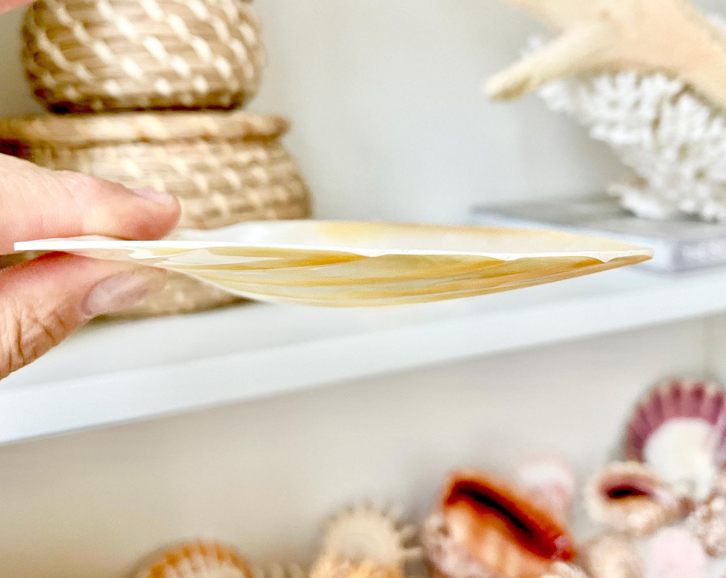 Huge 5" Mother Of Pearl Shiny Polished & Carved Half Shell Seashell Beach Coastal Crafts Irredescent Pearl and Golden Yellow Rainbow Shell