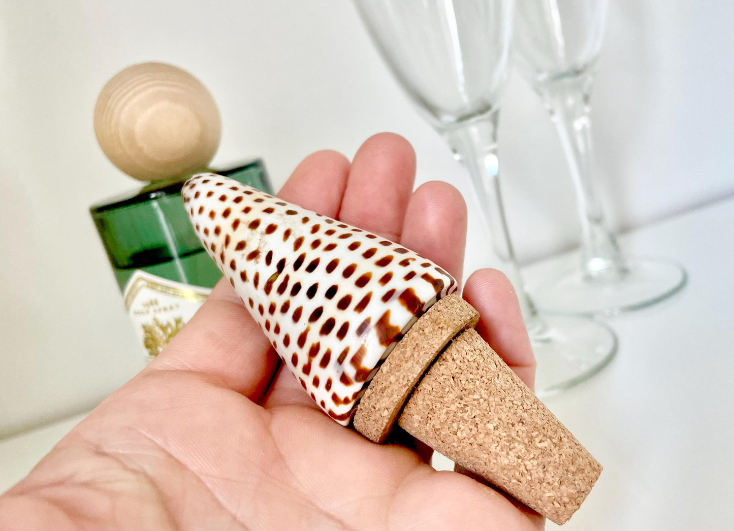 Authentic Ocean Seashell Wine Bottle Stopper Coastal Beach Lovers Gift Natural Organic Sustainable Cork Décor Cone Shells Turbo Cowry Harp