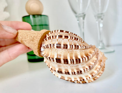 Authentic Ocean Seashell Wine Bottle Stopper Coastal Beach Lovers Gift Natural Organic Sustainable Cork Décor Cone Shells Turbo Cowry Harp
