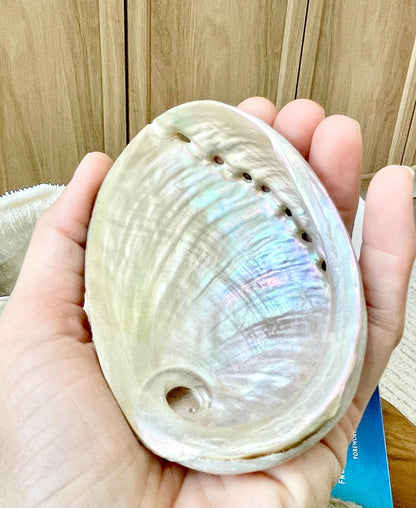 BLUE GREEN RAW Abalone Shells *All Sizes* Natural For Iridescent Silver Mermaid Seashell Coastal Décor Gift Sage Dish Turquoise Aqua