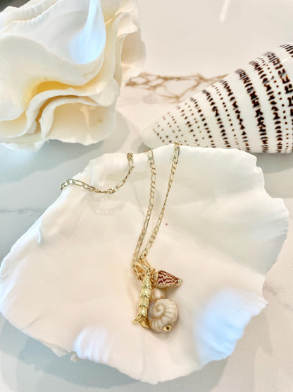 White Scalloped Edge Clam Shell 1/2 Shells *3-6", You Choose Size, Natural