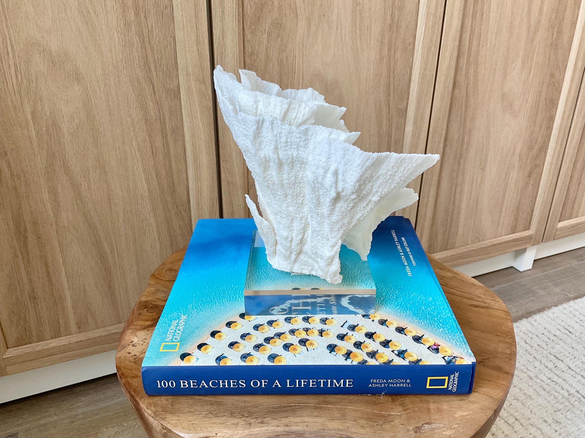 Mounted 8.5" Natural POCA CORAL Fossil Lucite Display Specimen Sculpture Ocean Art Decorative Coastal Beach Home Décor Wedding Gift White