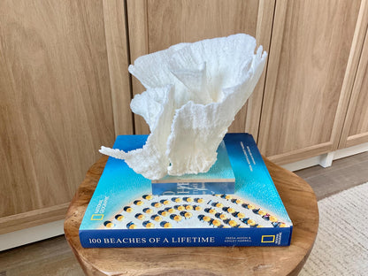 Mounted 8.5" Natural POCA CORAL Fossil Lucite Display Specimen Sculpture Ocean Art Decorative Coastal Beach Home Décor Wedding Gift White