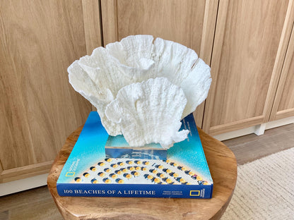 Mounted 8.5" Natural POCA CORAL Fossil Lucite Display Specimen Sculpture Ocean Art Decorative Coastal Beach Home Décor Wedding Gift White