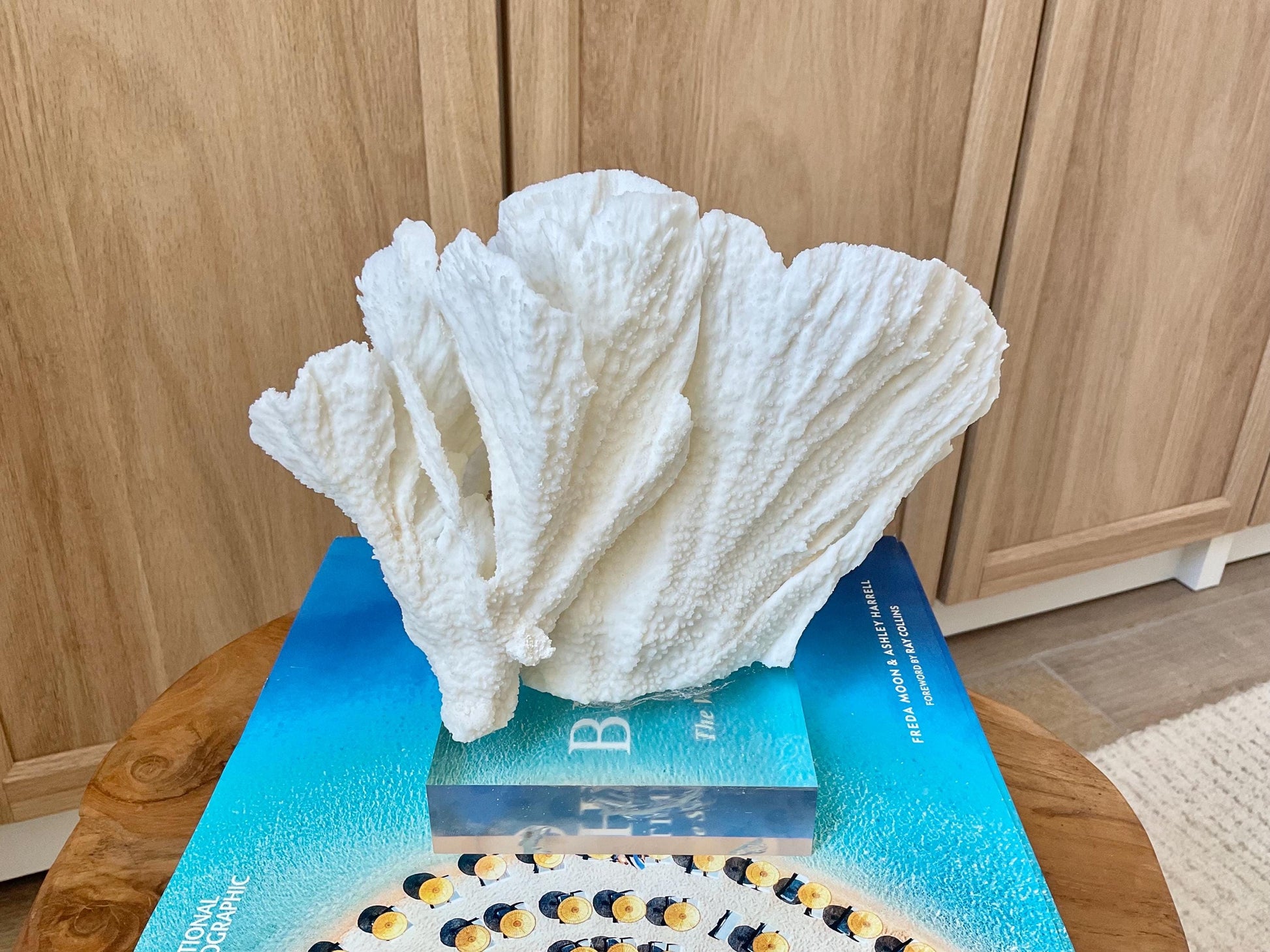 Mounted 8" Natural POCA CORAL Fossil Lucite Display Specimen Sculpture Ocean Art Decorative Coastal Beach Home Décor Wedding Gift White