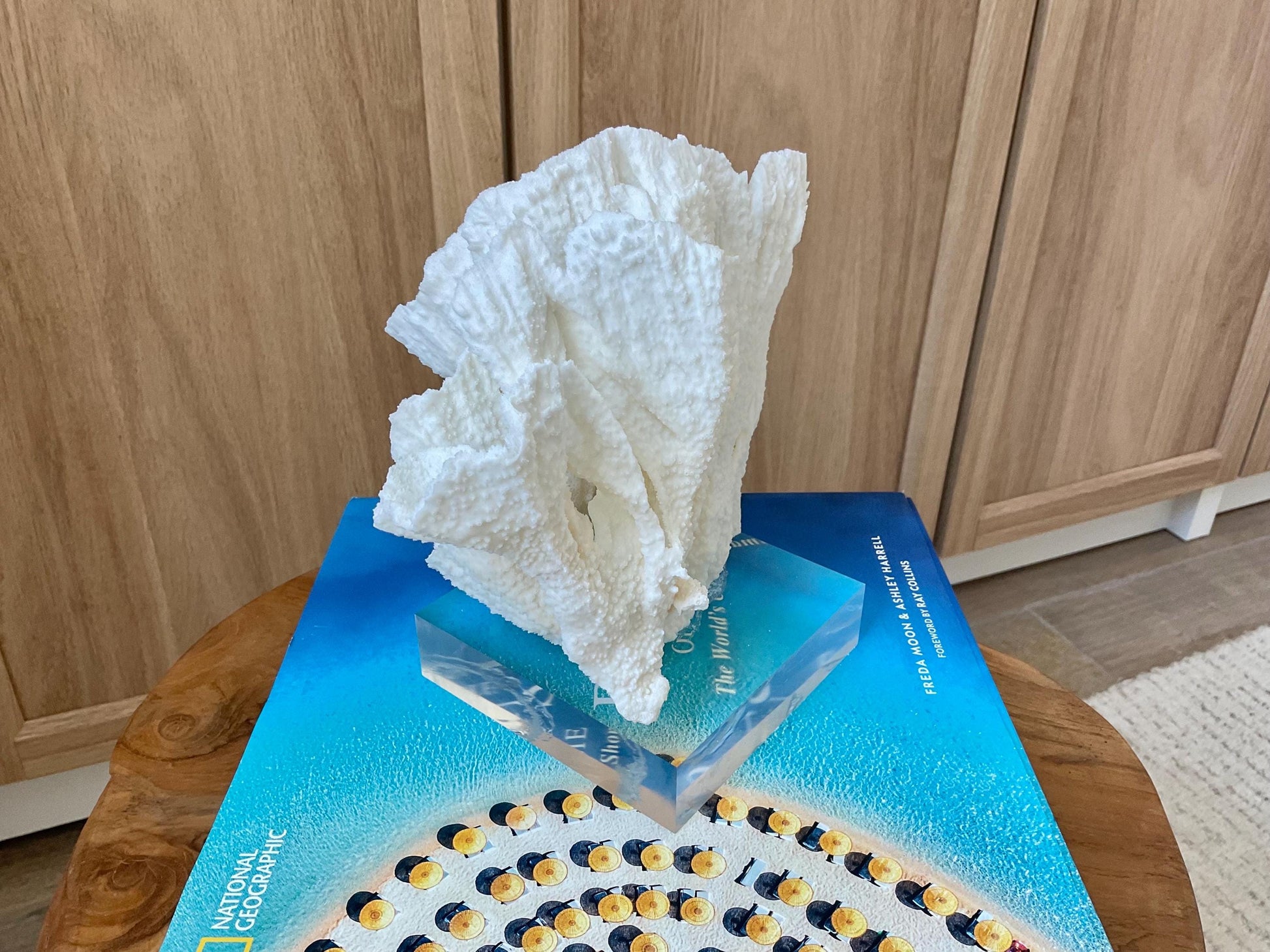 Mounted 8" Natural POCA CORAL Fossil Lucite Display Specimen Sculpture Ocean Art Decorative Coastal Beach Home Décor Wedding Gift White