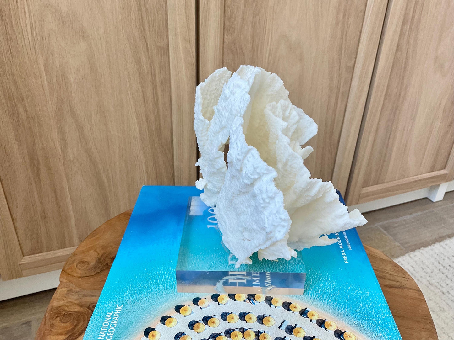 Mounted 8" Natural POCA CORAL Fossil Lucite Display Specimen Sculpture Ocean Art Decorative Coastal Beach Home Décor Wedding Gift White
