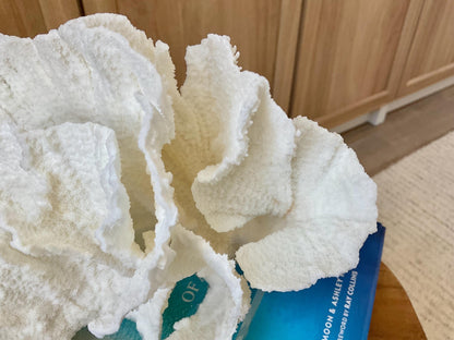 Mounted 8" Natural POCA CORAL Fossil Lucite Display Specimen Sculpture Ocean Art Decorative Coastal Beach Home Décor Wedding Gift White