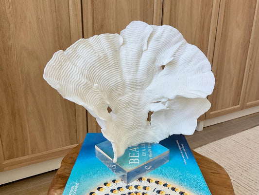 Mounted 10.5" Natural CUP RUGOSA CORAL Fossil Lucite Display Specimen Sculpture Ocean Art Decorative Coastal Beach Home Décor Wedding Gift