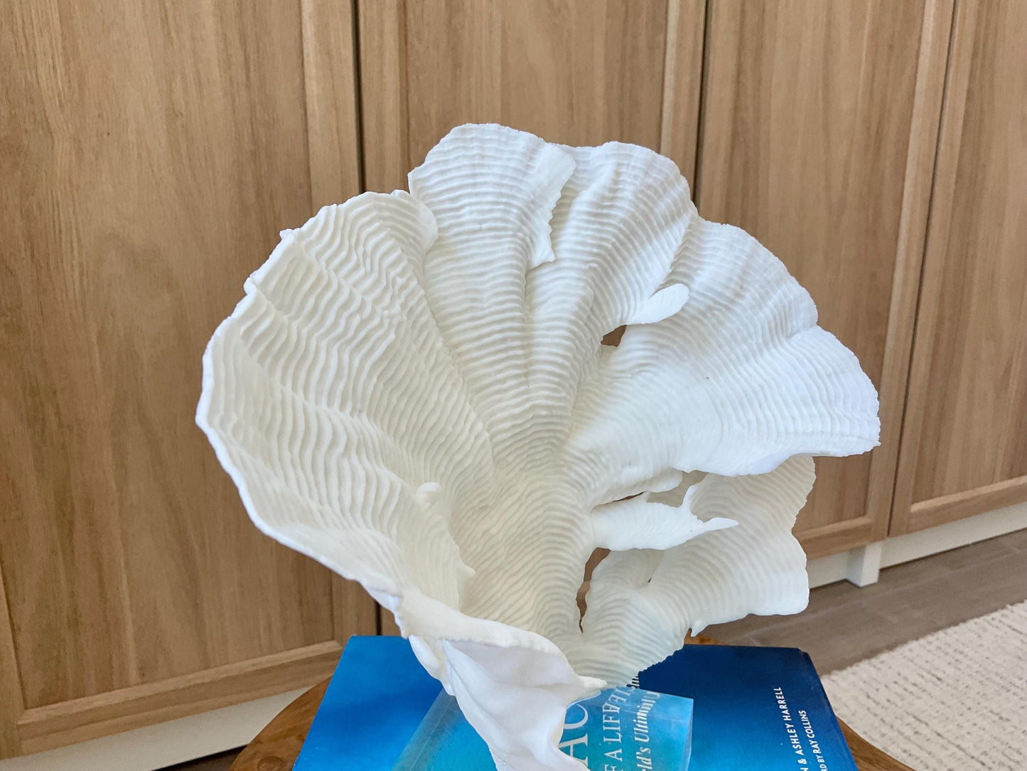 Mounted 10.5" Natural CUP RUGOSA CORAL Fossil Lucite Display Specimen Sculpture Ocean Art Decorative Coastal Beach Home Décor Wedding Gift