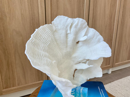 Mounted 10.5" Natural CUP RUGOSA CORAL Fossil Lucite Display Specimen Sculpture Ocean Art Decorative Coastal Beach Home Décor Wedding Gift