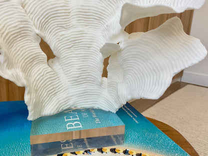 Mounted 10.5" Natural CUP RUGOSA CORAL Fossil Lucite Display Specimen Sculpture Ocean Art Decorative Coastal Beach Home Décor Wedding Gift