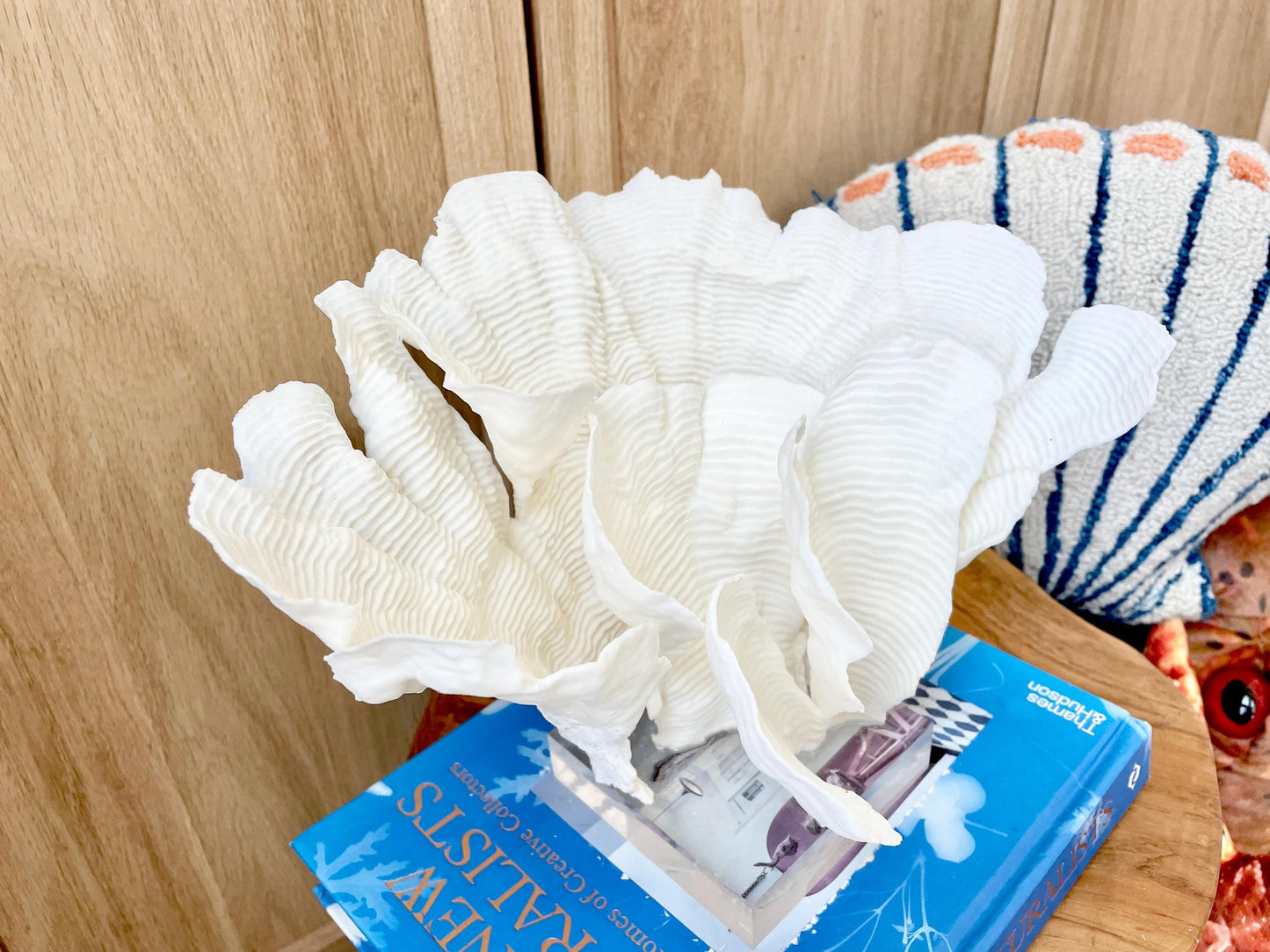 Natural Ocean Sculptural Wavy RUGOSA CORAL 11.25" Wide Mounted On Clear Lucite Base Genuine Display Decorative Coastal Beach Home Décor Gift