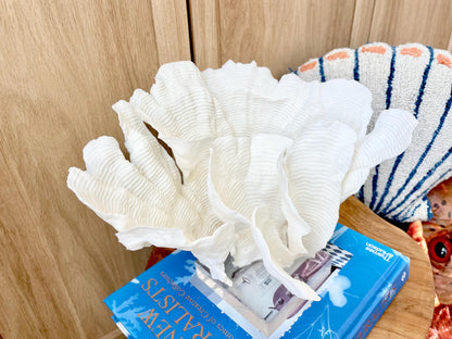 Natural Ocean Sculptural Wavy RUGOSA CORAL 11.25" Wide Mounted On Clear Lucite Base Genuine Display Decorative Coastal Beach Home Décor Gift