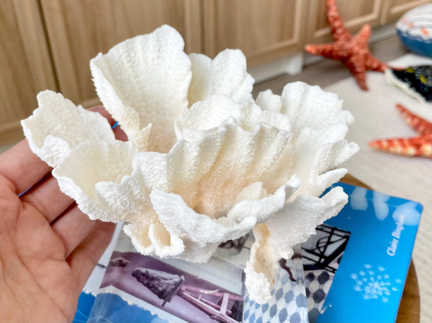 POCA CORAL 6"Mounted Natural Fossil Lucite Display Specimen Sculpture Ocean Art Decorative Coastal Beach Home Décor Wedding Gift White