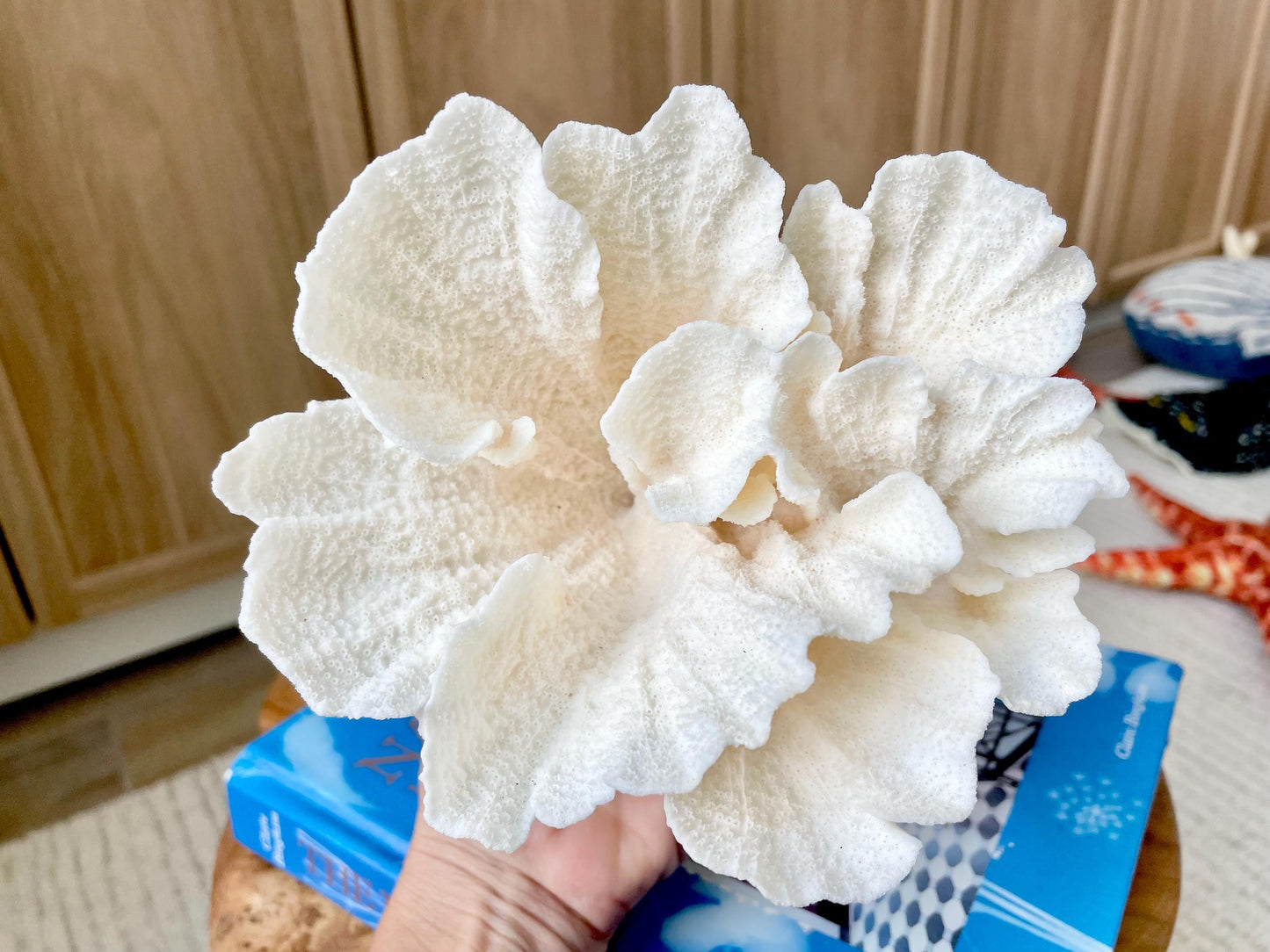 POCA CORAL Mounted Natural Fossil Lucite Display Specimen Sculpture Ocean Art Decorative Coastal Beach Home Décor Wedding Gift White