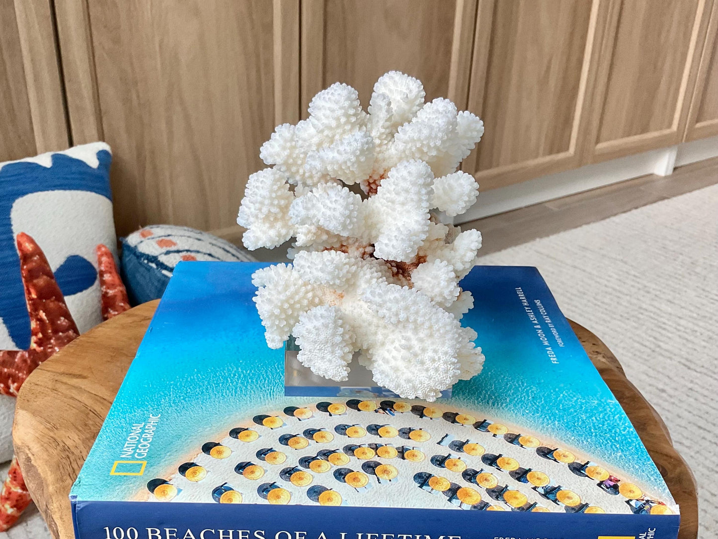 Mounted 5.5" Natural CLUSTER CORAL Fossil Lucite Display Specimen Sculpture Ocean Art Decorative Coastal Beach Home Décor Wedding Gift White