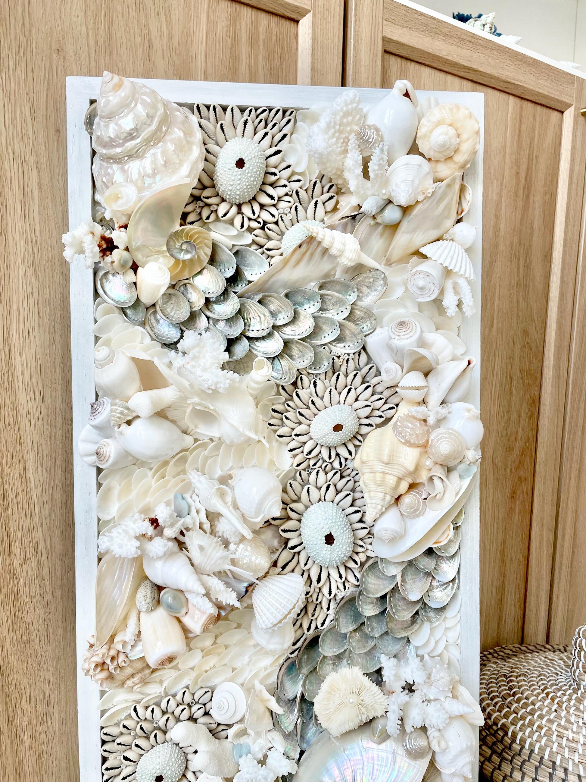 Powder Blue Pearl Seashell Modern Coastal Wall Art Natural Textured Sea shells Urchins Coral 36" x 12" Upscale Beach House Décor White Beige