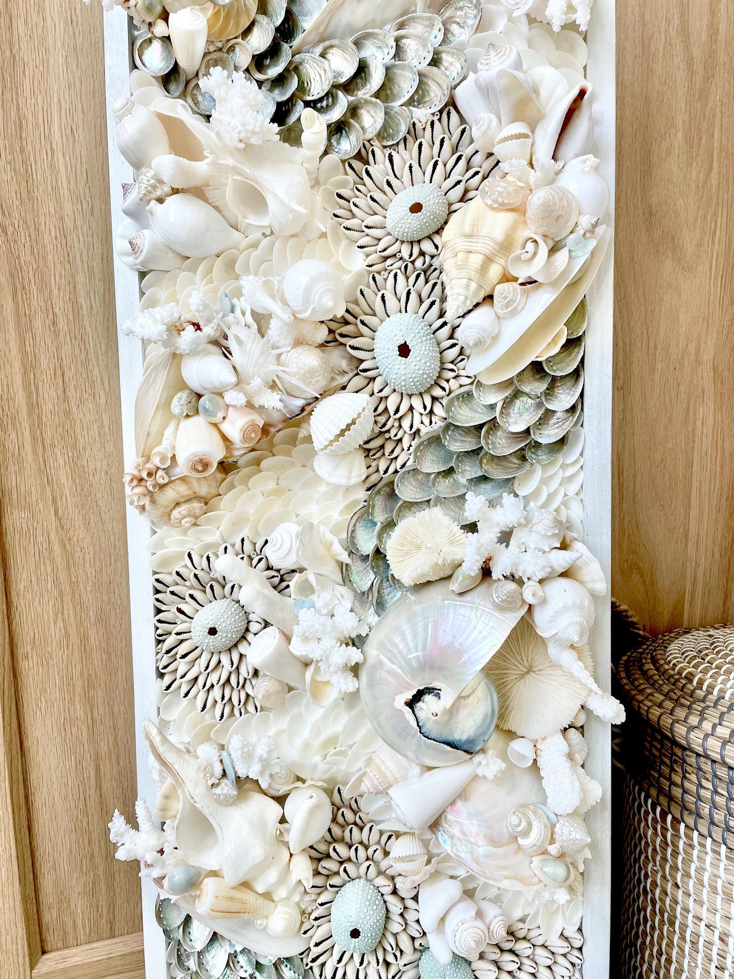 Powder Blue Pearl Seashell Modern Coastal Wall Art Natural Textured Sea shells Urchins Coral 36" x 12" Upscale Beach House Décor White Beige