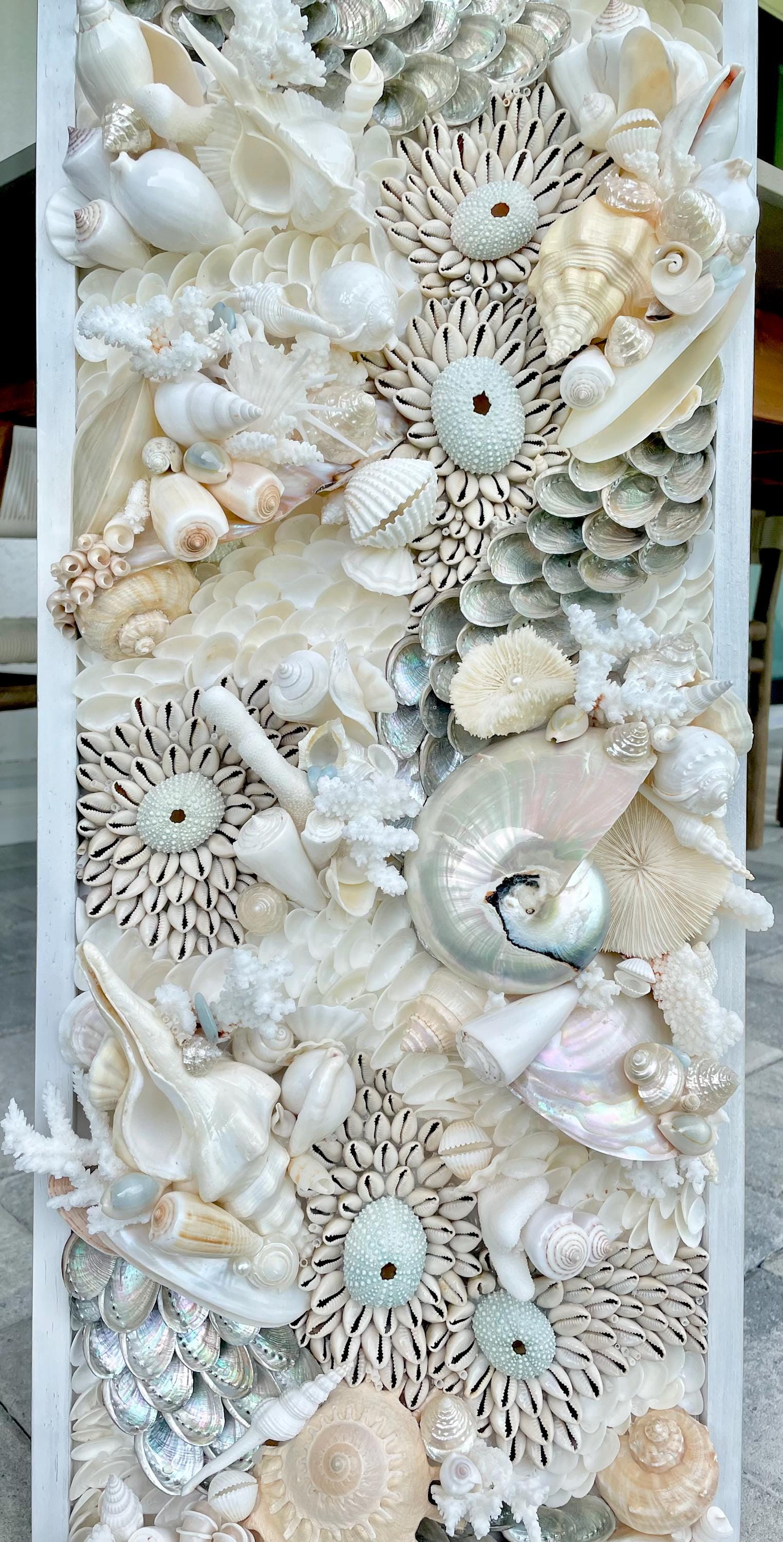Seashell Wall Art: Powder Blue Pearl, Coral & Urchin, 12x 36" Coastal Décor