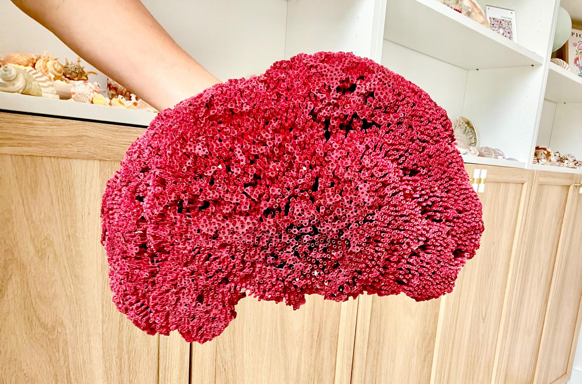 Red Pipe Organ Coral Fossil - Coastal Aquarium Decor