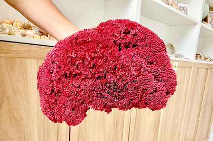 Red Pipe Organ Coral Fossil - Coastal Aquarium Decor